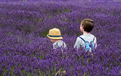 Vacaciones en familia: Mucho más que descanso